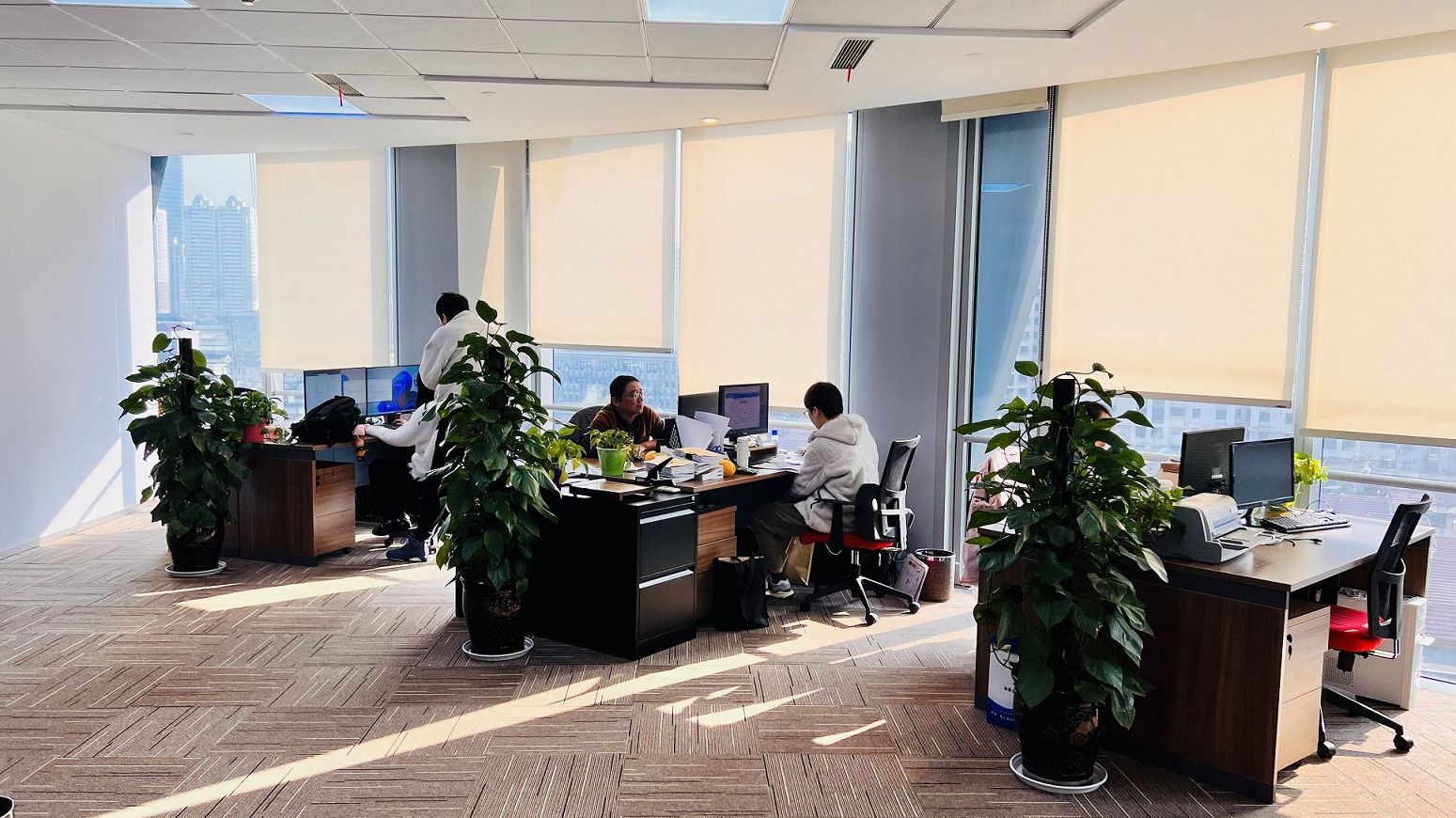 公司暂时不经营可以养着吗？注意？  